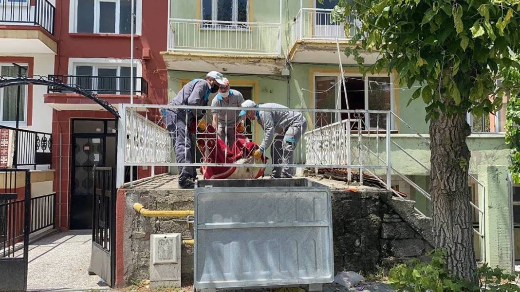 Kiraya verdiği evin son halini gören kadın, hüngür hüngür ağladı! Bu kadarını hiç kimse tahmin edemezdi 14